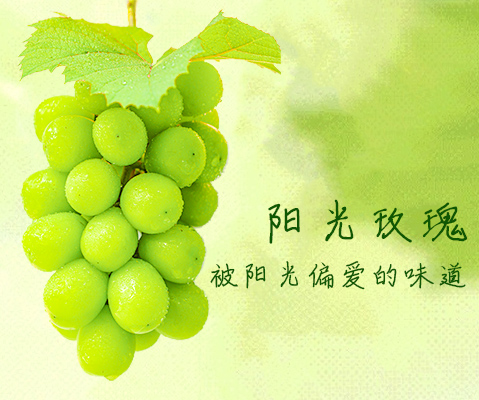 美景农业